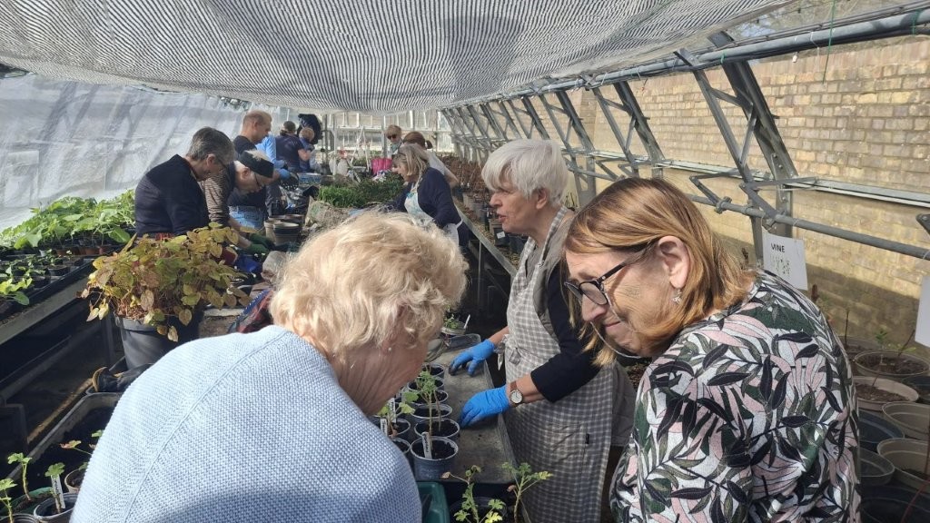 Propagation Day at Stud Nursery