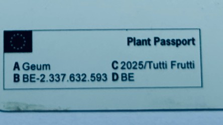 UK Plant Passport label